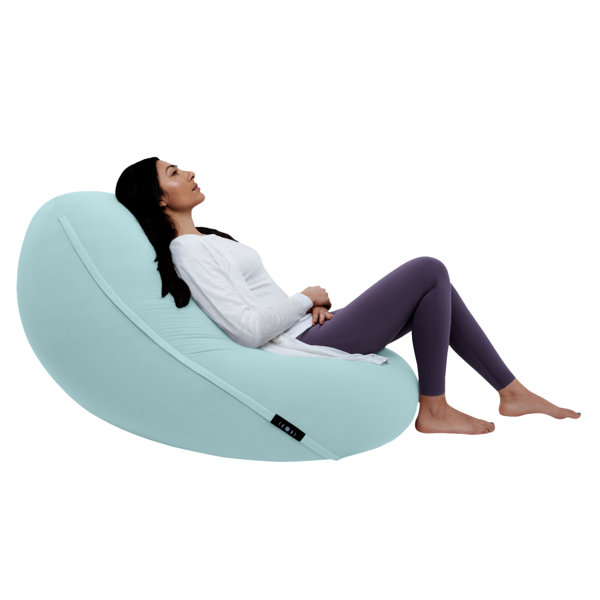 Moon Pod™ Bean Bag Chair & Reviews | Wayfair